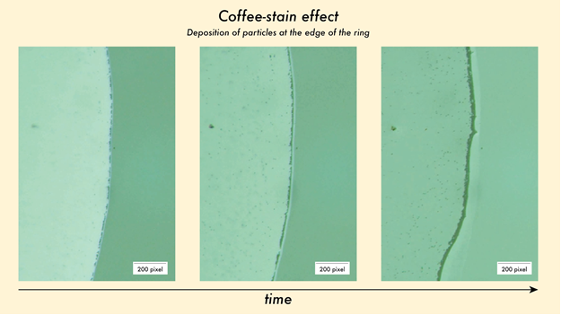 Morning Coffees